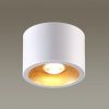 Светильник накладной Odeon Light Glasgow (Гласгов) 6668/1CL