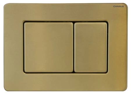 Клавиша смыва механическая CHARUS Robusto FP.310.BTG.05