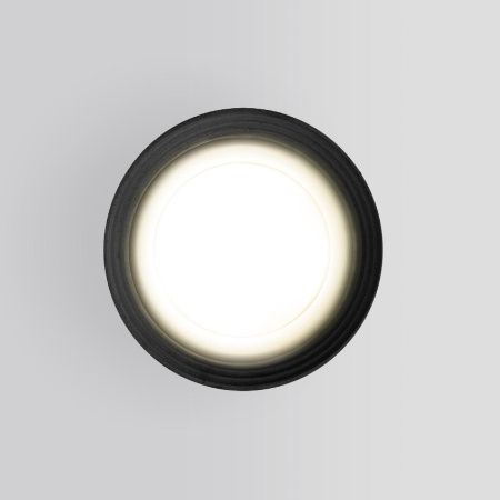 Уличный потолочный светильник Elektrostandard Light (Лигхт) 4690389175909
