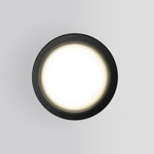 Уличный потолочный светильник Elektrostandard Light (Лигхт) 4690389175909 - фото 2