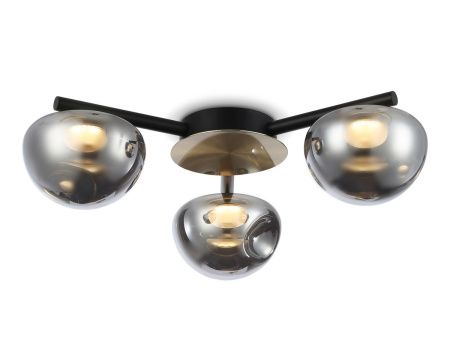 Светильник потолочный Ambrella Light Modern (Модерн) LH12006