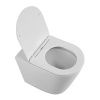 Унитаз приставной BelBagno FLAY-R BB1003CBR/SC белый с сиденьем микролифт безободковый каскадный смыв