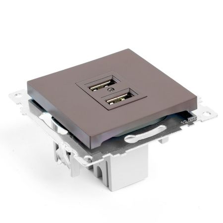 Розетка USB 2-местная Stekker Катрин 49027
