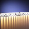 Светодиодная лента Maytoni Led Strip 201096