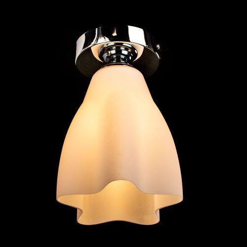 Светильник накладной Arte Lamp Canzone (Цанзоне) A3469PL-1CC - фото 3