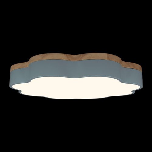 Светильник потолочный Loft It Axel 10225/36 Blue - фото 4