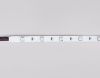Светодиодная лента Ambrella Light LED Strip 24V (ЛЕД Стрип 24В) GS4301