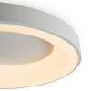 Светильник потолочный Freya Fit (Соответствие) FR6157CL-L65W
