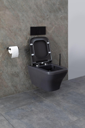 Чаша унитаза подвесная Allen Brau Infinity 4.21011.AN цвет черный без сиденья безободковая каскадный смыв