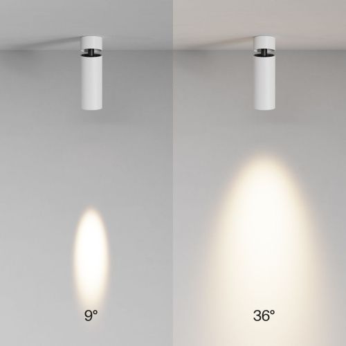 Светильник потолочный Maytoni Technical FOCUS LED C055CL-L12W3K-SS-W - фото 4