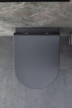 Чаша унитаза подвесная Allen Brau Priority 4.31002.AN цвет черный без сиденья безободковая каскадный смыв