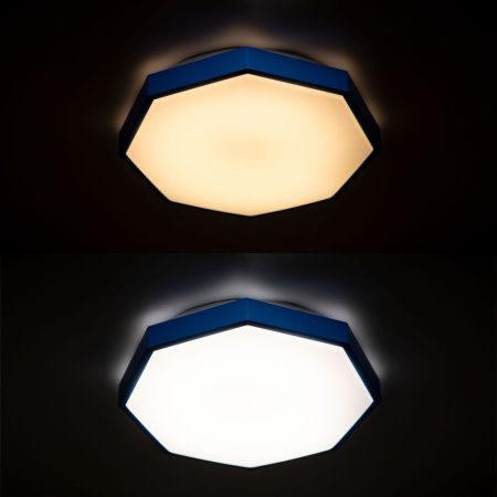 Светильник накладной Arte Lamp Kant (Кант) A2659PL-1BL