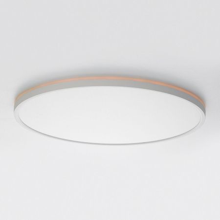 Светильник потолочный Citilux Norma (Норма) CL749500