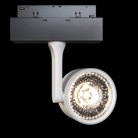 Трековый светильник Maytoni Technical Oko (Око) TR024-2-10W3K
