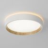 Светильник потолочный музыкальный Citilux Etalon (Еталон) CL750180