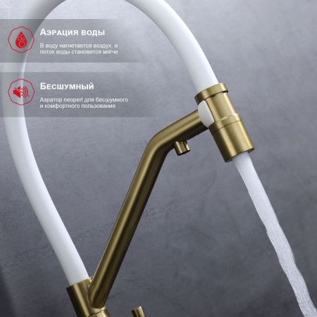Смеситель для кухни Raglo R81 R81.62.03 на мойку золото
