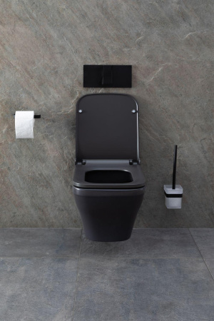 Чаша унитаза подвесная Allen Brau Infinity 4.21011.AN цвет черный без сиденья безободковая каскадный смыв