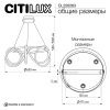 Люстра подвесная Citilux Python (Пытхон) CL220263
