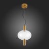 Светильник подвесной ST Luce ALLENORE (АЛЛЕНОРЕ) SL1582.303.01