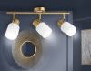 Спот Ambrella Light Traditional (Традитионал) TR3972