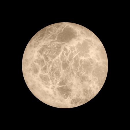 Светильник настенный Loft It Emi 10414W/S