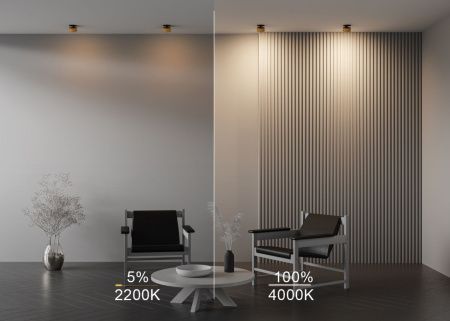 Светильник встраиваемый Maytoni Technical Onda DL024-12W-DTW-BMG