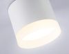Светильник накладной Ambrella Light Acrylic Frost (Ацрылиц Фрост) TN5365