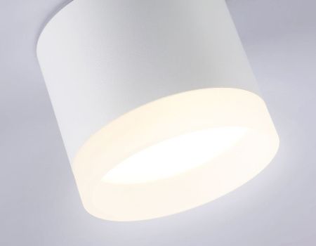 Светильник накладной Ambrella Light Acrylic Frost (Ацрылиц Фрост) TN5365