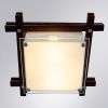 Светильник потолочный Arte Lamp Archimede (Арцхимеде) A6462PL-2CKB
