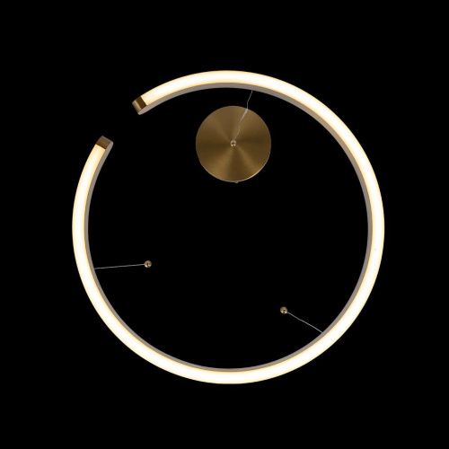 Светильник подвесной Loft It Ring 10013L - фото 4