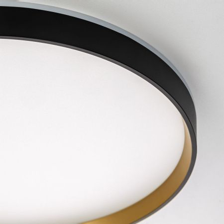 Светильник потолочный музыкальный Citilux Etalon (Еталон) CL750401R