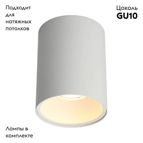 Настенно-потолочный светильник Omnilux Cariano (Цариано) OML-101209-01 - фото 2