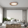 Светильник потолочный ImperiumLoft Runis (Рунис) 219476-26