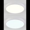 Светильник потолочный Natali Kovaltseva LED LAMPS 81111/5C