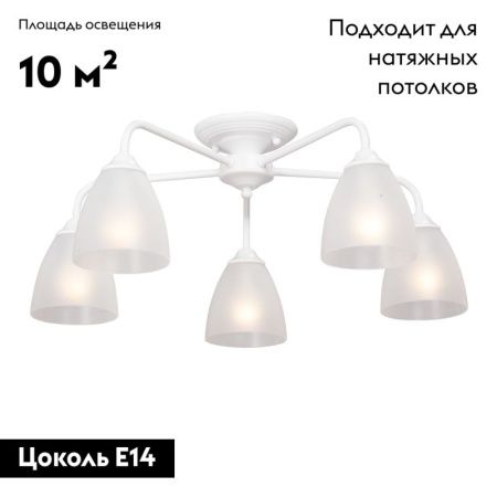 Люстра потолочная Vitaluce V3946-0 V3946-0/5PL