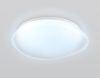 Светильник потолочный Ambrella Light Dance (Данце) FZ1610