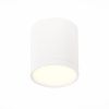 Светильник потолочный ST Luce Rene (Рене) ST113.532.05