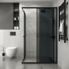 Душевой уголок Niagara Eco NG-1012-14QT 117х78 стекло тонированное профиль черный матовый без поддона Душевой уголок Niagara Eco NG-1012-14QT 117х78 стекло тонированное профиль черный матовый без поддона