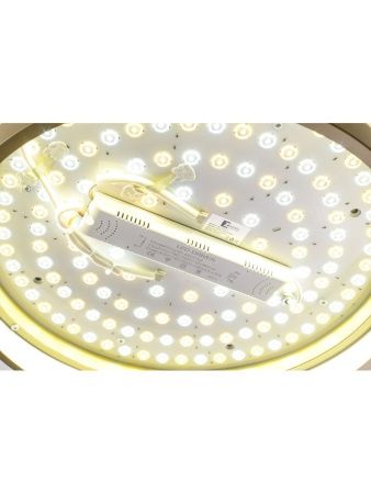 Светильник потолочный Zortes Gerda (Герда) ZRS.1097.50