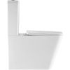 Унитаз напольный с бачком WeltWasser WW SK GELBACH 011 ST GL-WT (10000012125) белый с сиденьем микролифт безободковый душевой смыв