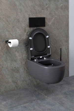 Чаша унитаза подвесная Allen Brau Priority 4.31002.AN цвет черный без сиденья безободковая каскадный смыв