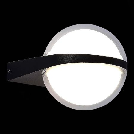Уличный настенный светильник ST Luce Celeste (Целесте) SL9510.401.01