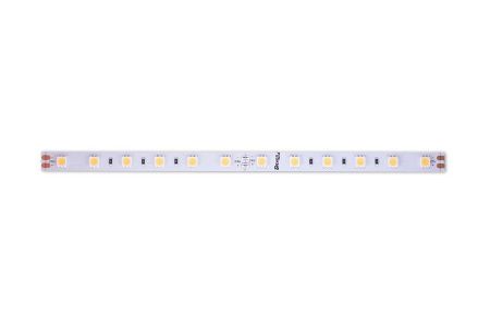 Светодиодная лента Designled DSG560 00-00000521