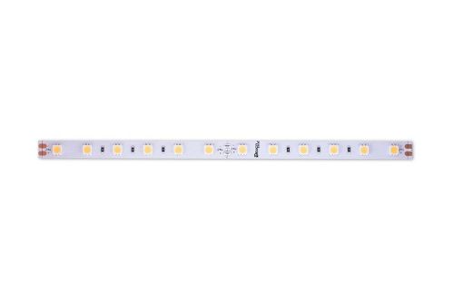 Светодиодная лента Designled DSG560 00-00000521 - фото 3