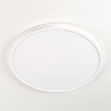 Светильник накладной Citilux Бейсик CL738320V