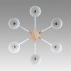Люстра на штанге Lumion Colange (Цоланге) 8095/6C