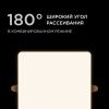 Панель светодиодная встраиваемая Apeyron FLP 06-118
