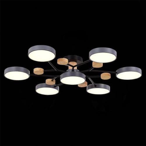 Люстра на штанге Evoluce Faema (Фаема) SLE6006-702-07 - фото 4