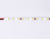 Светодиодная лента Ambrella Light LED Strip 12V (ЛЕД Стрип 12В) GS2002