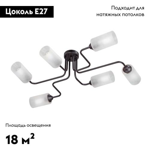 Люстра потолочная Vitaluce V4310 V4310-1/6PL - фото 2